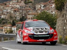 PEUGEOT 207 S2000 2008 24